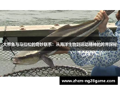 大带鱼与马拉松的奇妙联系：从海洋生物到运动精神的跨界探秘