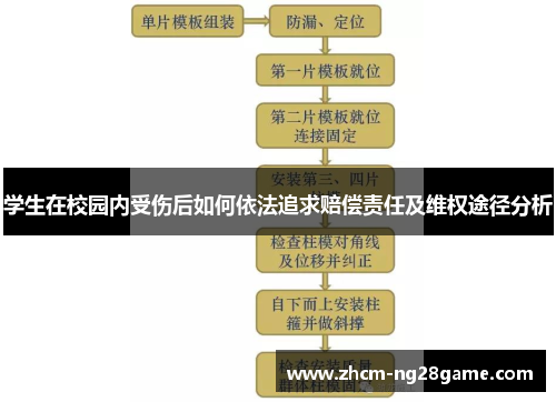 学生在校园内受伤后如何依法追求赔偿责任及维权途径分析