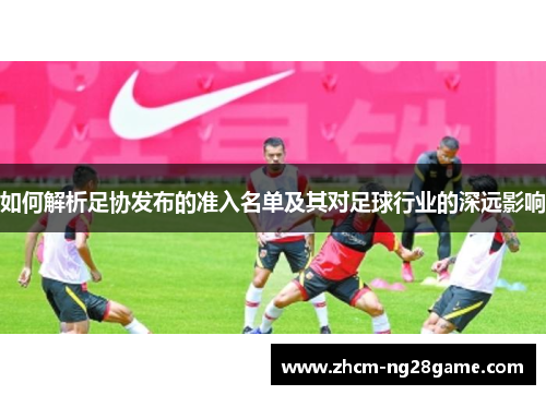 如何解析足协发布的准入名单及其对足球行业的深远影响