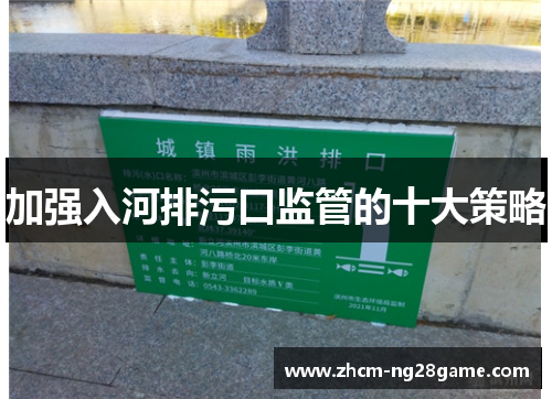 加强入河排污口监管的十大策略