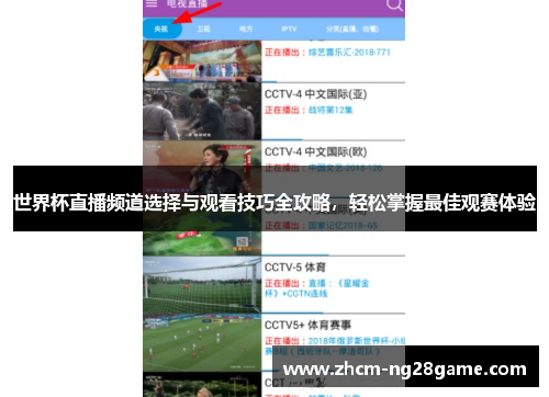 世界杯直播频道选择与观看技巧全攻略，轻松掌握最佳观赛体验