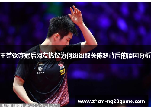 王楚钦夺冠后网友热议为何纷纷取关陈梦背后的原因分析