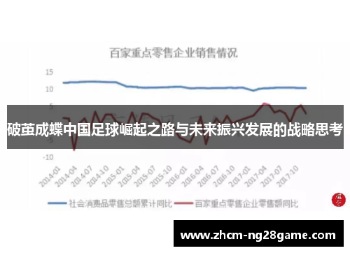 破茧成蝶中国足球崛起之路与未来振兴发展的战略思考